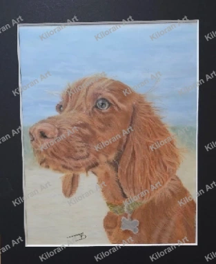 008_drawing_Irish_Setter_2_watermark