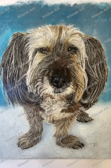 009_drawing_Shih_Tzu_2_watermark