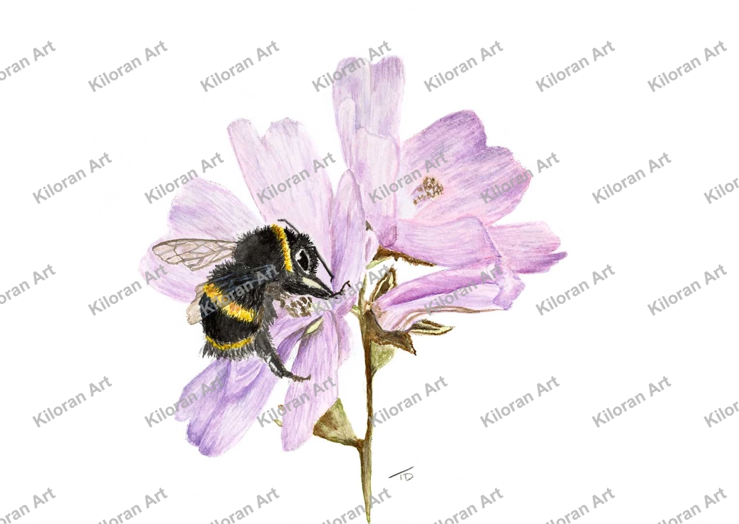 032_drawing_Bee_Flower_watermark