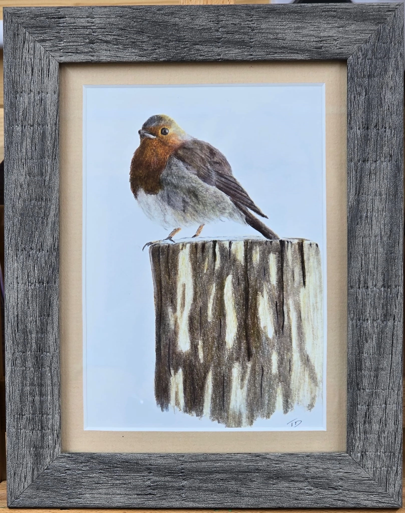 Print_mount_frame_robin
